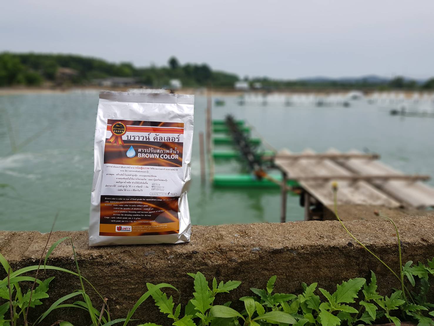 การเตรียมบ่อด้วยสีบราวน์คัลเลอร์