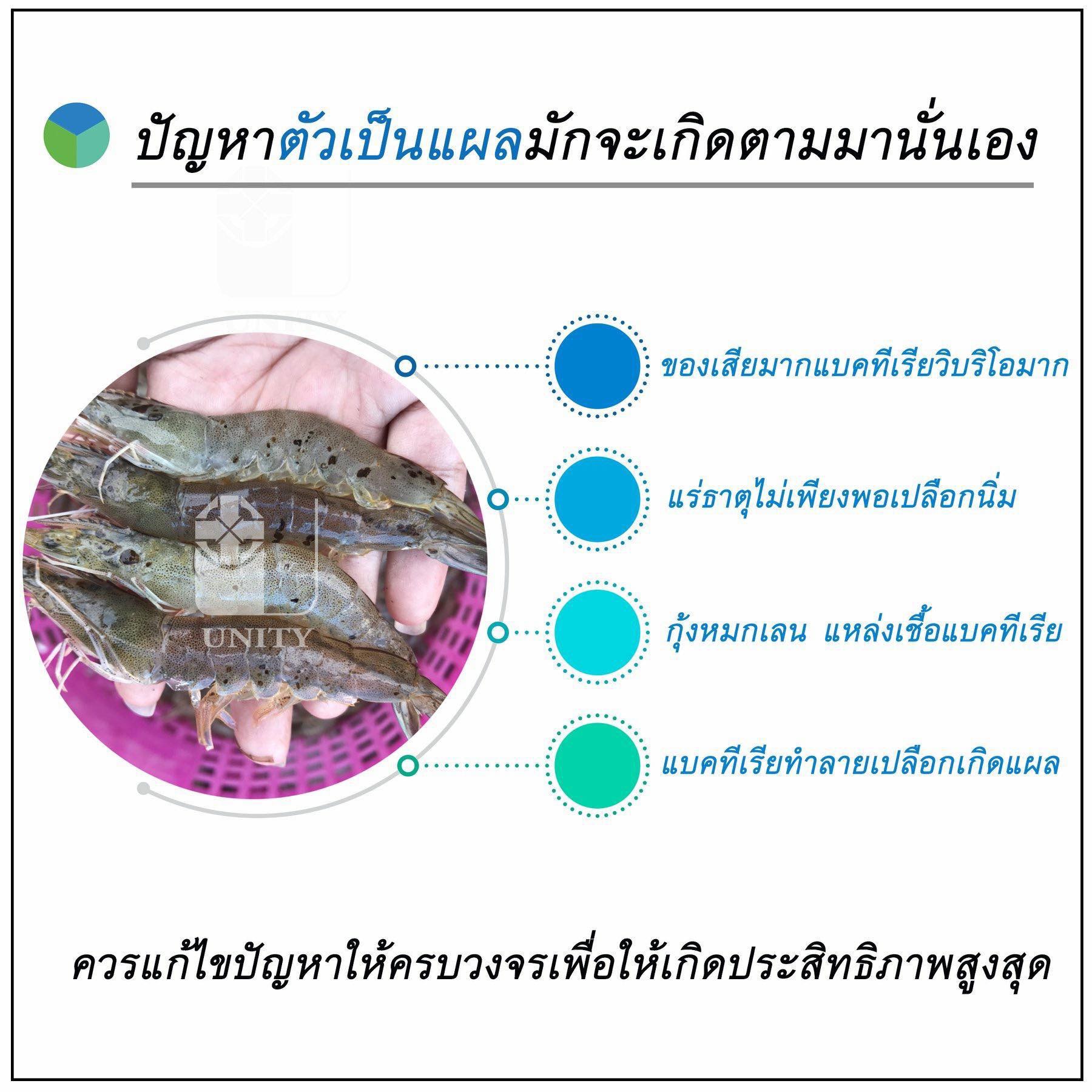 การแก้ปัญหาตัวเป็นแผล